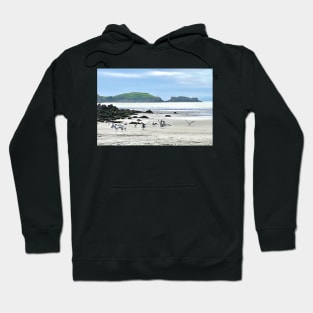 Flight to Blancs Sablons Hoodie